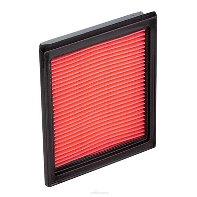 Air Filter (RY-A1348)