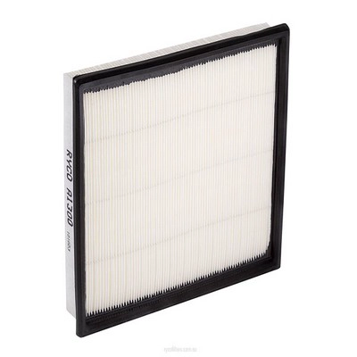 Air Filter (RY-A1300)