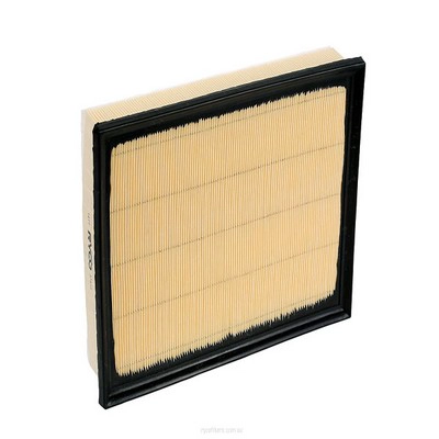 Air Filter (RY-A1812)