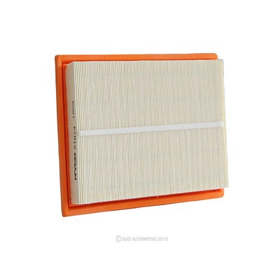 Air Filter (RY-A1874)