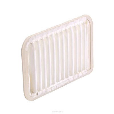 Air Filter (RY-A1442)