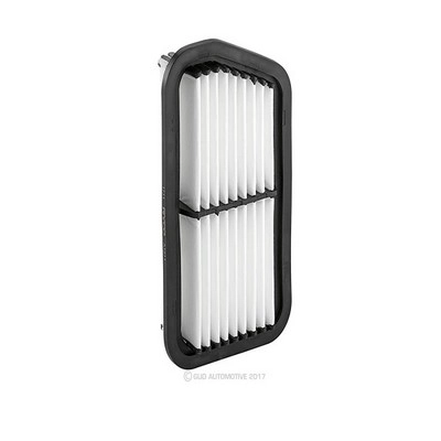 Air Filter (RY-A1911)
