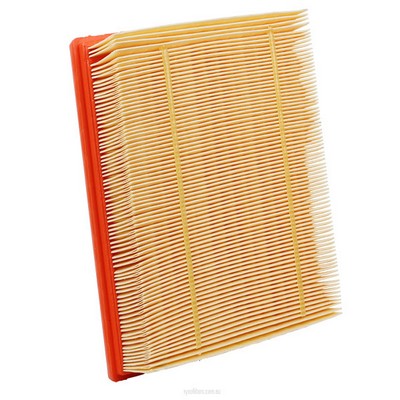 Air Filter (RY-A1795)