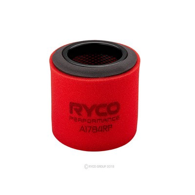Air Filter (RY-A1784RP)