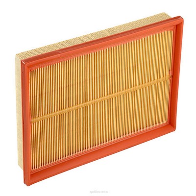 Air Filter (RY-A1744)