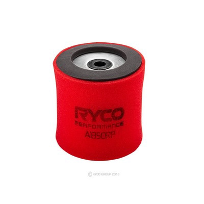 Air Filter (RY-A1350RP)