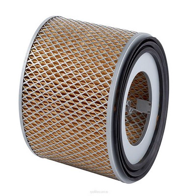 Air Filter (RY-HDA5813)