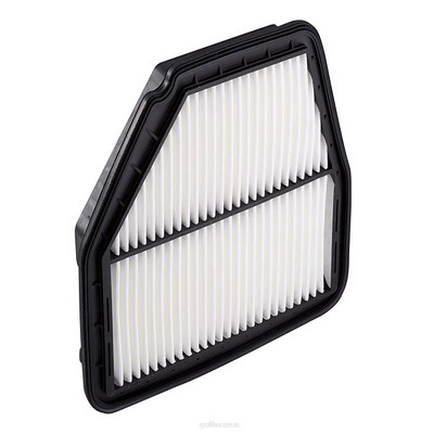 Air Filter (RY-A1638)