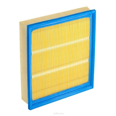 Air Filter (RY-A1434)