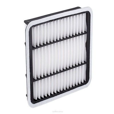 Air Filter (RY-A1493)