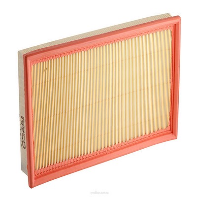 Air Filter (RY-A1661)