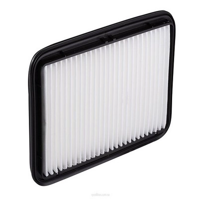 Air Filter (RY-A1577)