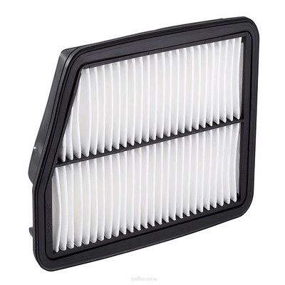 Air Filter (RY-A1455)