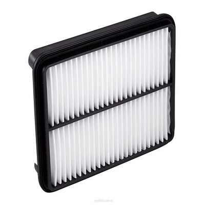 Air Filter (RY-A1245)