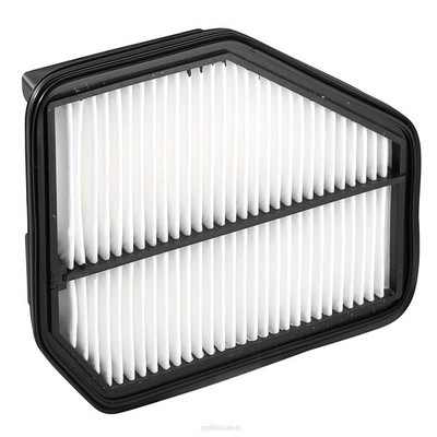 Air Filter (RY-A1624)