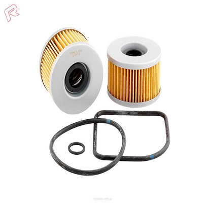 Oil Filter (RY-RMC100)