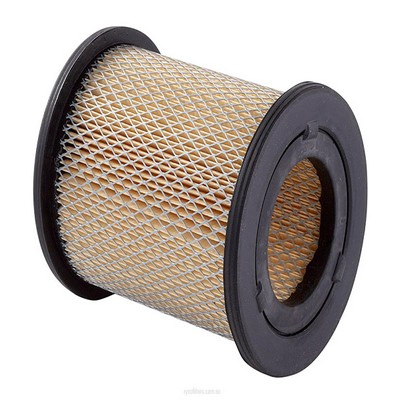 Air Filter (RY-A1417)