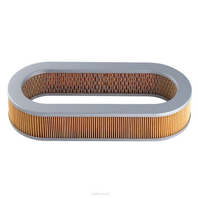 Air Filter (RY-A337)