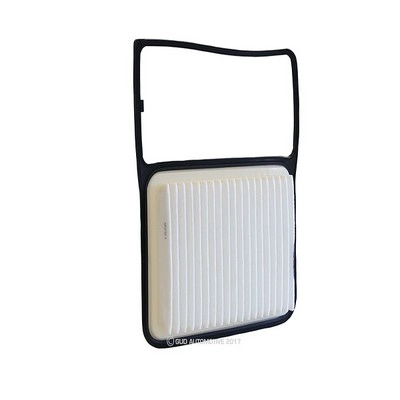 Air Filter (RY-A1894)