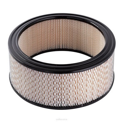 Air Filter (RY-A148)