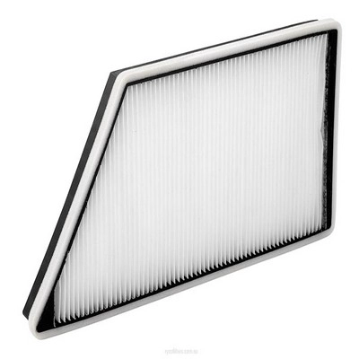 Filter, cabin air (RY-RCA157P)