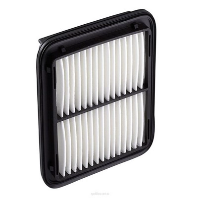 Air Filter (RY-A1421)