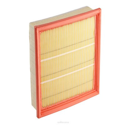 Air Filter (RY-A1656)