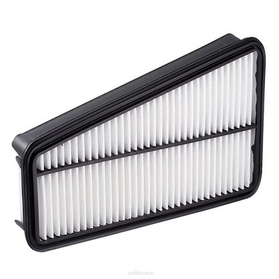 Air Filter (RY-A1525)