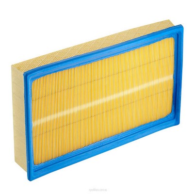 Air Filter (RY-A1482)
