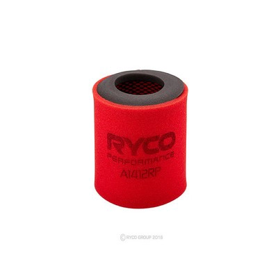 Air Filter (RY-A1412RP)