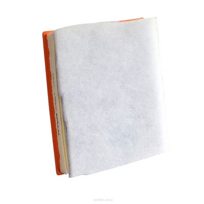 Air Filter (RY-A1857)