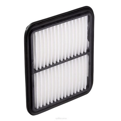Air Filter (RY-A1625)