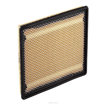 Air Filter (RY-A1735)