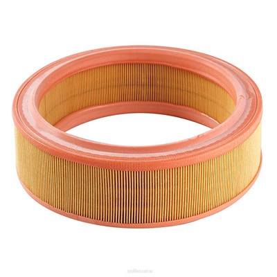 Air Filter (RY-A1537)