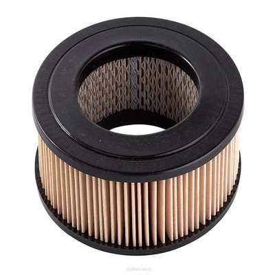 Air Filter (RY-A114X)