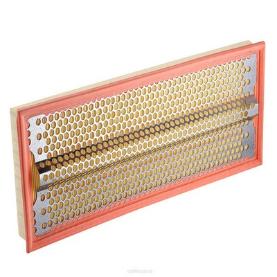 Air Filter (RY-A1670)