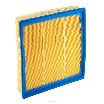 Air Filter (RY-A1487)