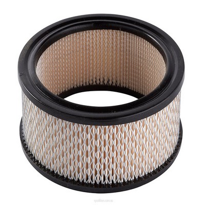 Air Filter (RY-A50)