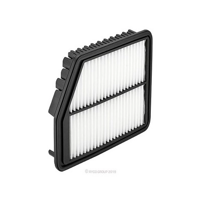 Air Filter (RY-A1946)