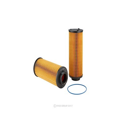 Oil Filter (RY-R2810P)