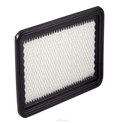 Air Filter (RY-A1206)