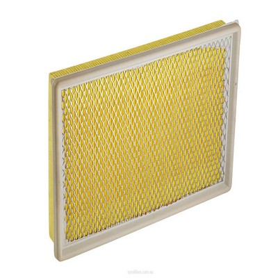 Air Filter (RY-A1379)