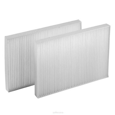 Filter, cabin air (RY-RCA195P)