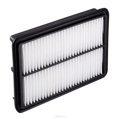 Air Filter (RY-A1571)