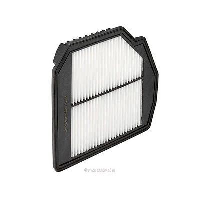 Air Filter (RY-A1951)