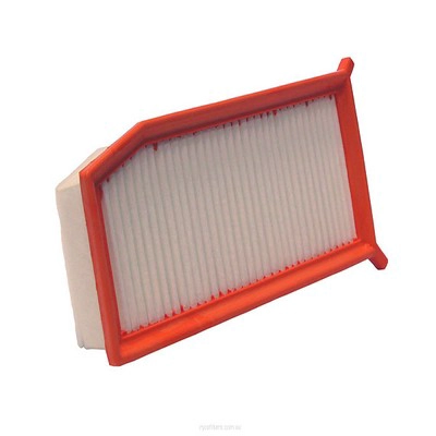 Air Filter (RY-A1853)