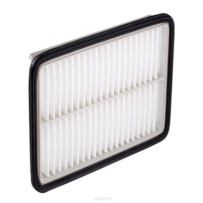 Air Filter (RY-A1620)