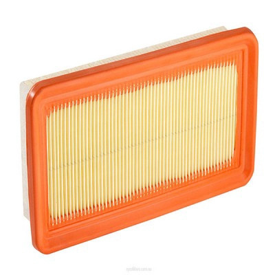Air Filter (RY-A1587)