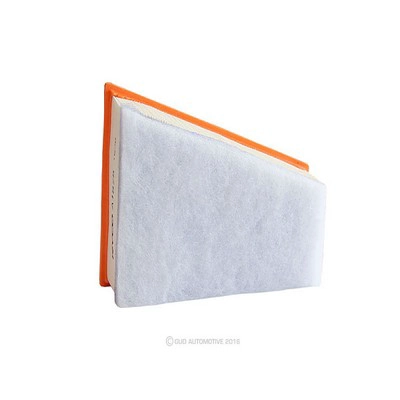 Air Filter (RY-A1875)