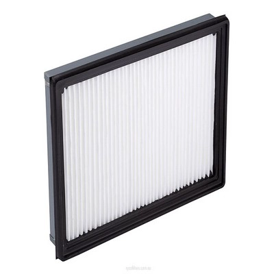 Air Filter (RY-A1425)